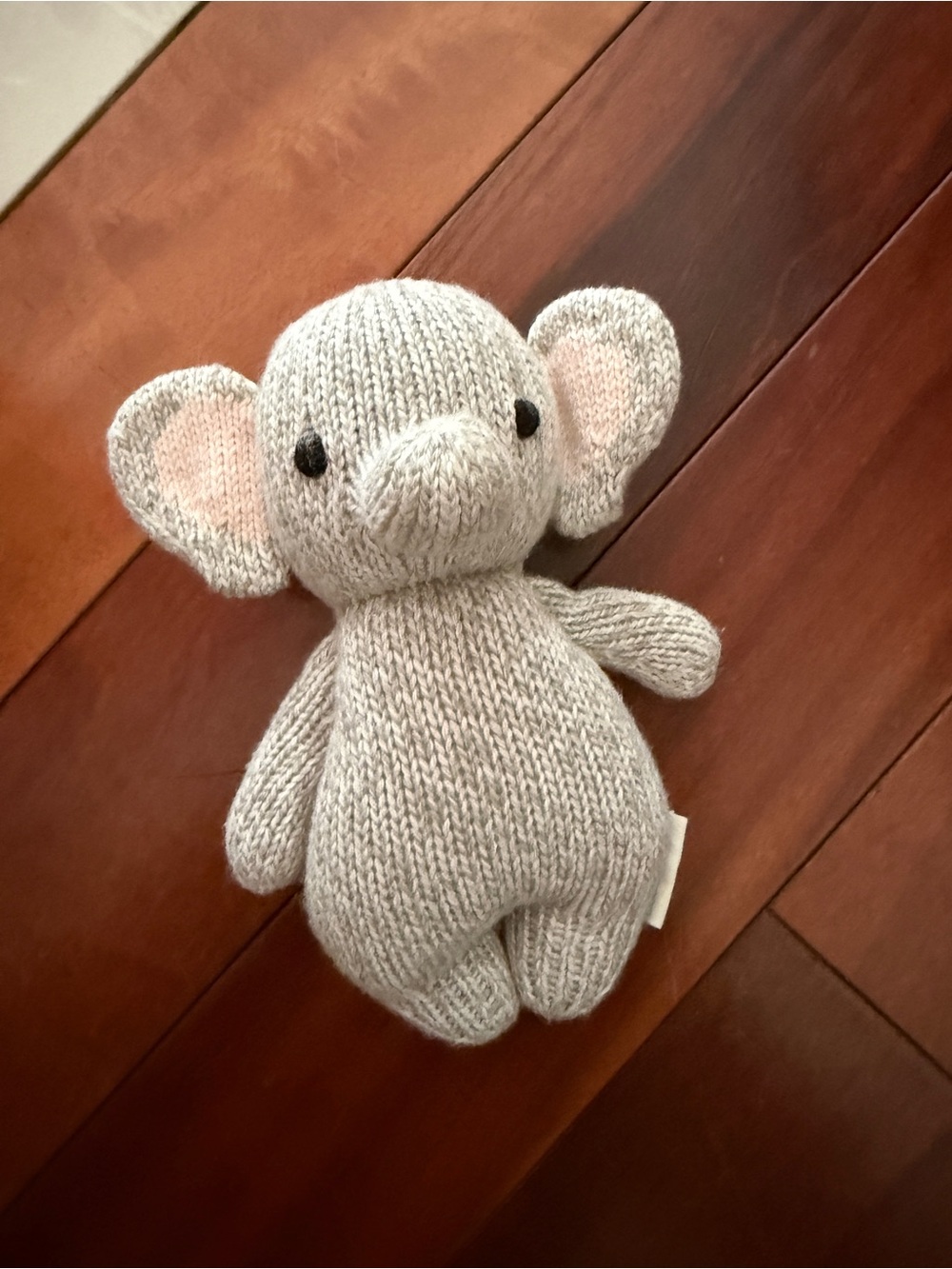 Baby elephant